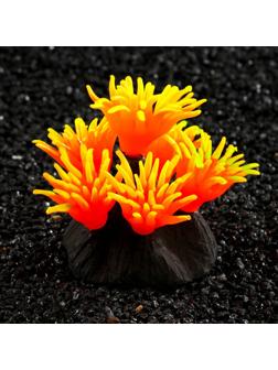 Декор для аквариума коралл Pyrostegia Ignea силиконовый, 8 х 8 х 9 см, оранжевый