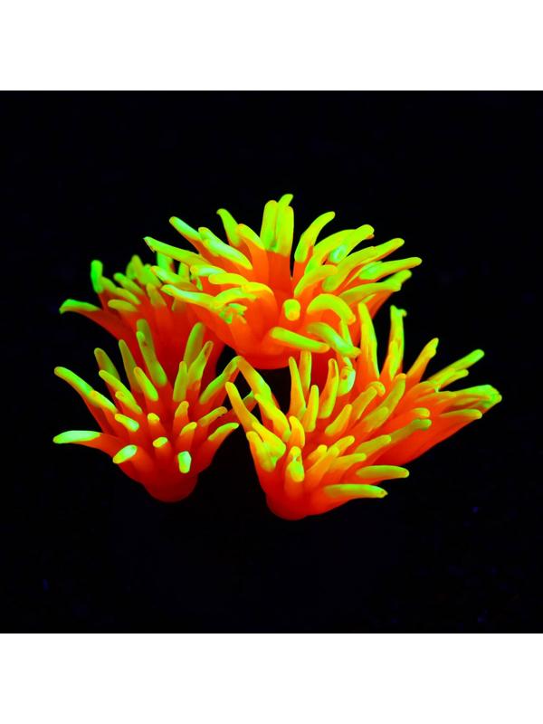 Декор для аквариума коралл Pyrostegia Ignea силиконовый, 8 х 8 х 9 см, оранжевый