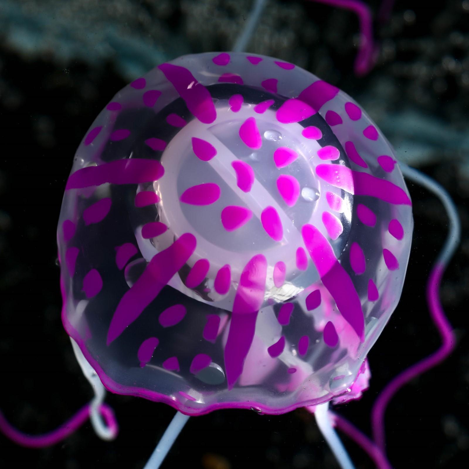 Декор для аквариума 