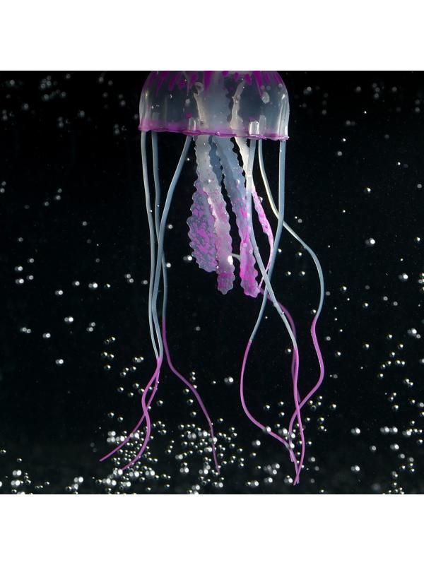 Декор для аквариума 