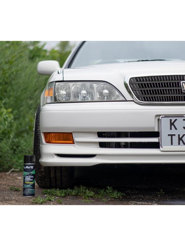 Пенный очиститель следов насекомых LAVR Антимуха, 650 мл