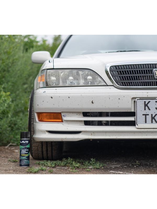 Пенный очиститель следов насекомых LAVR Антимуха, 650 мл