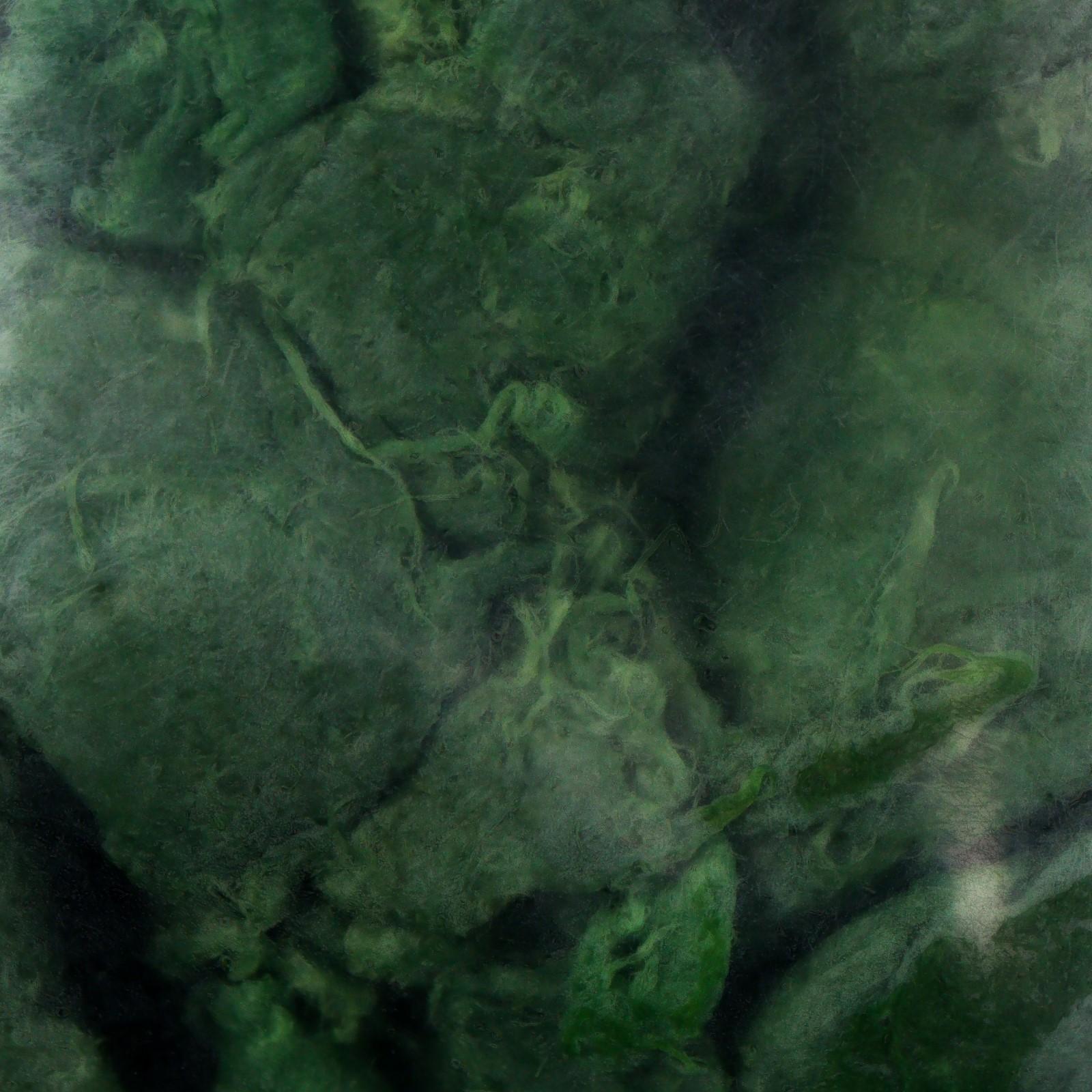 Целлюлоза для изготовления бумаги ручной работы 