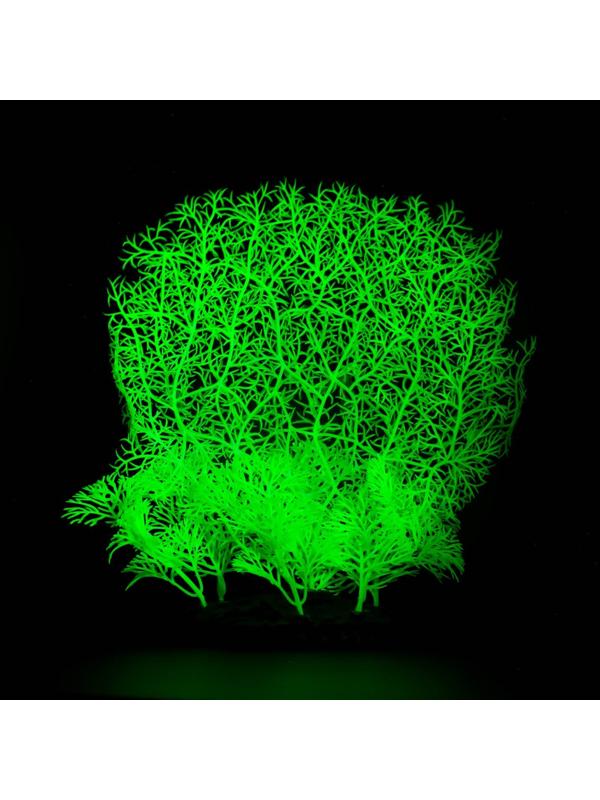 Растение искусственное аквариумное, светящееся, 23 см, зелёное