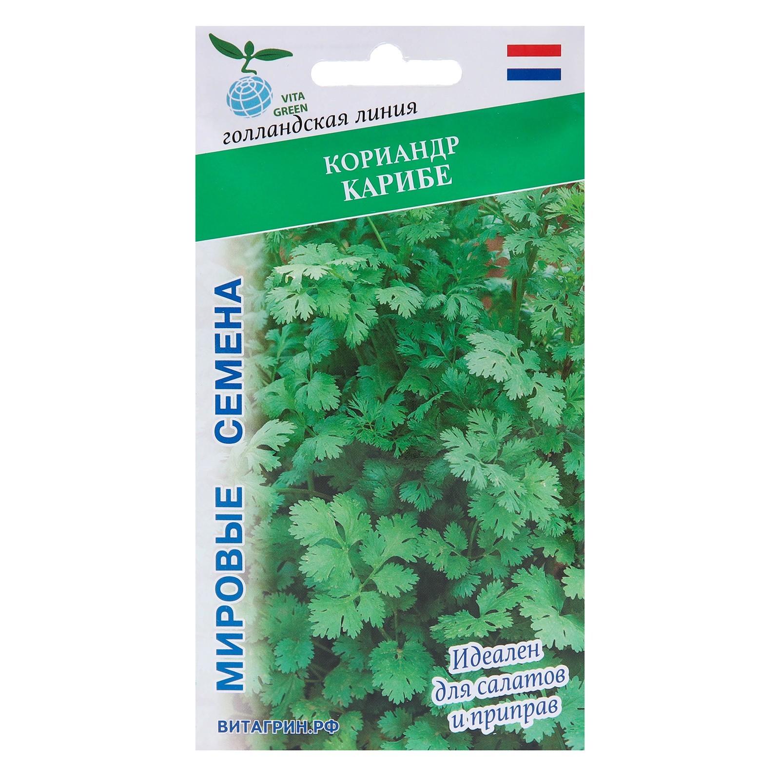 Семена Кориандр 