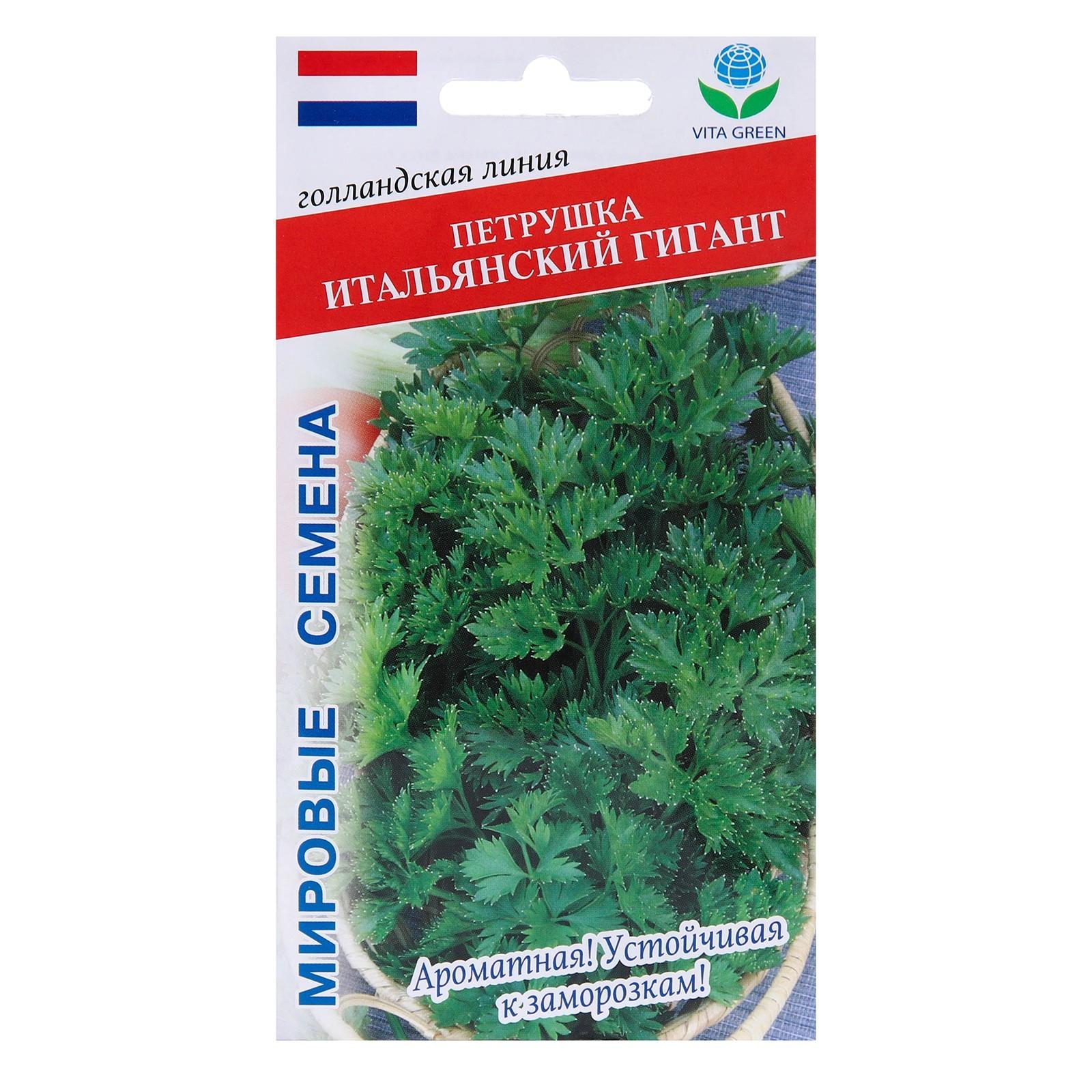 Семена Петрушка 