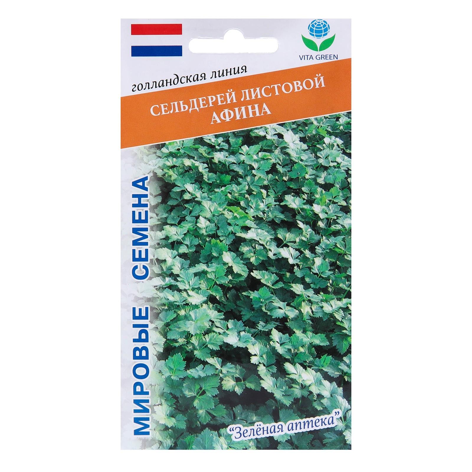 Семена Сельдерей листовой 