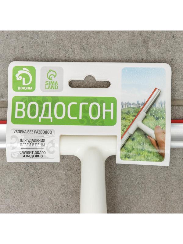 Водосгон Доляна, 25×20 см, пластиковая ручка, силиконовый сгон