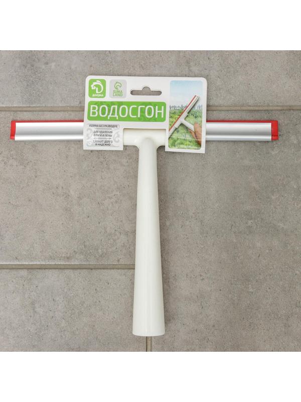 Водосгон Доляна, 25×20 см, пластиковая ручка, силиконовый сгон
