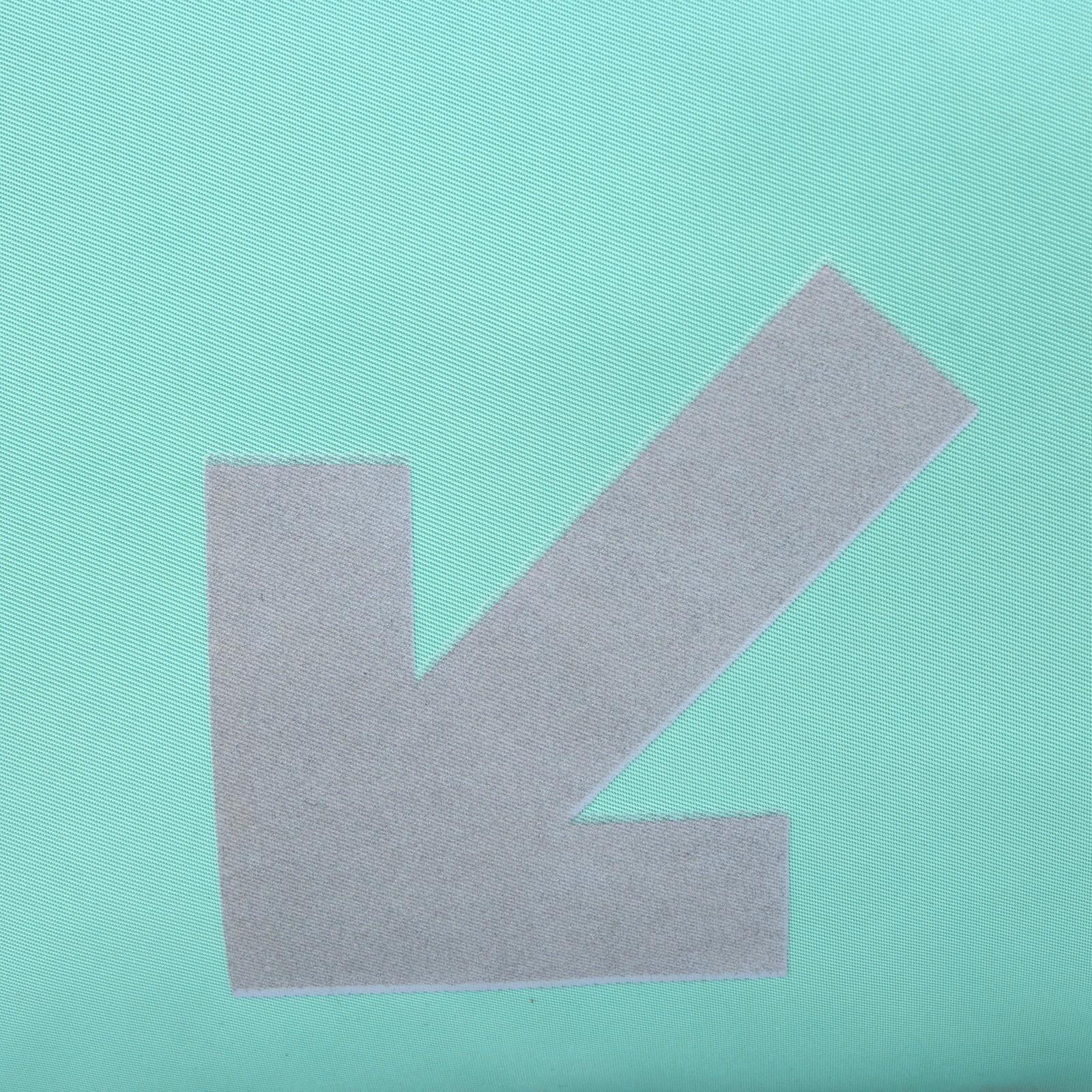 Сумка спортивная 3 ARROW на молнии, отдел из ПВХ, отдел для обуви, наружый карман, цвет мятный