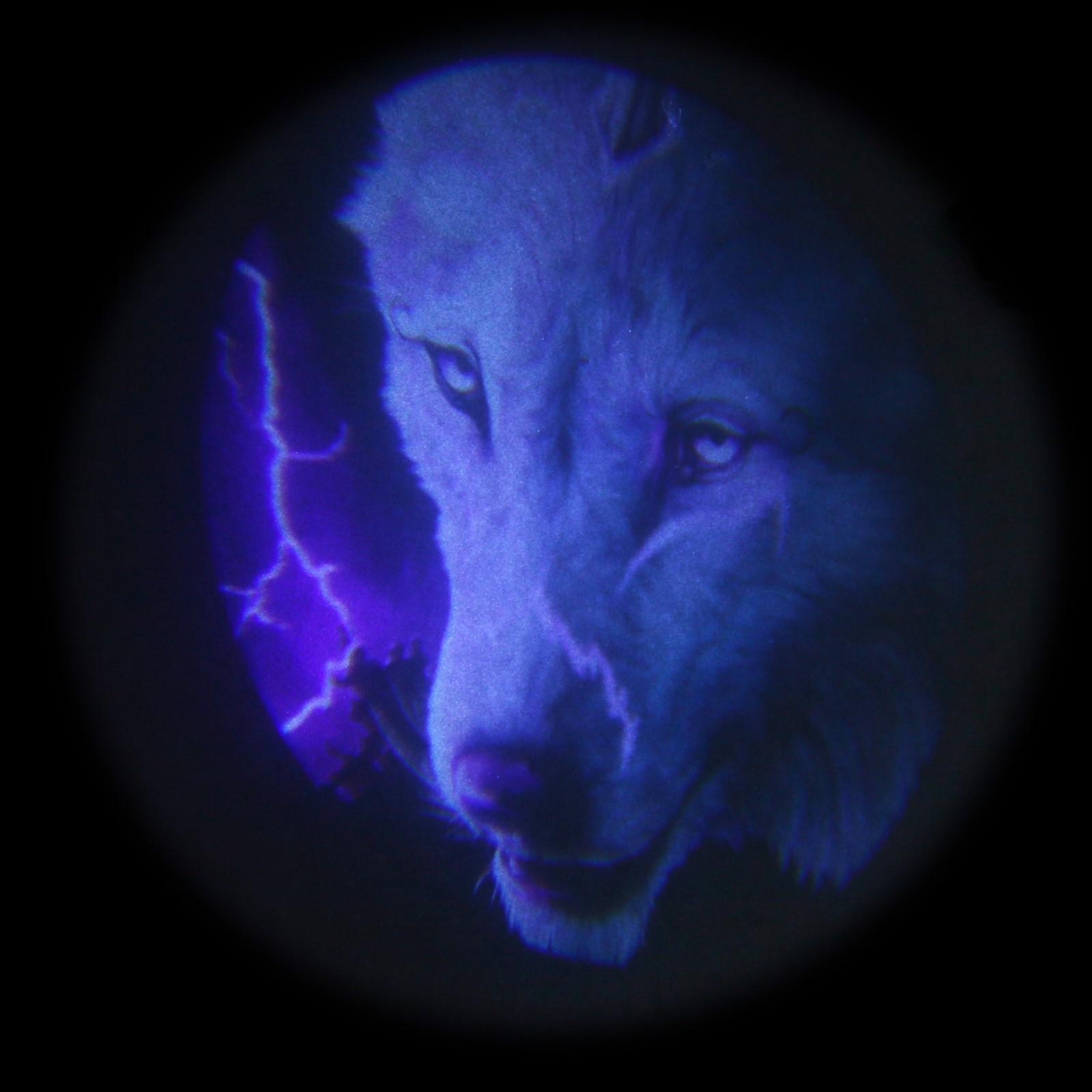 Проекция на дверь, светодиодная, 