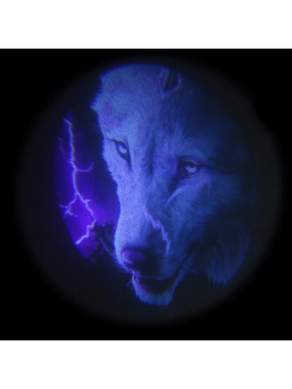 Проекция на дверь, светодиодная, 