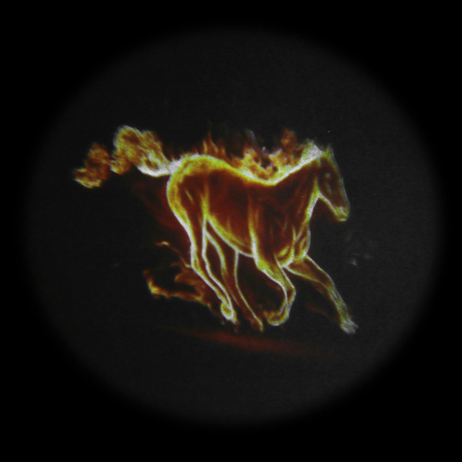 Проекция на дверь, светодиодная, 