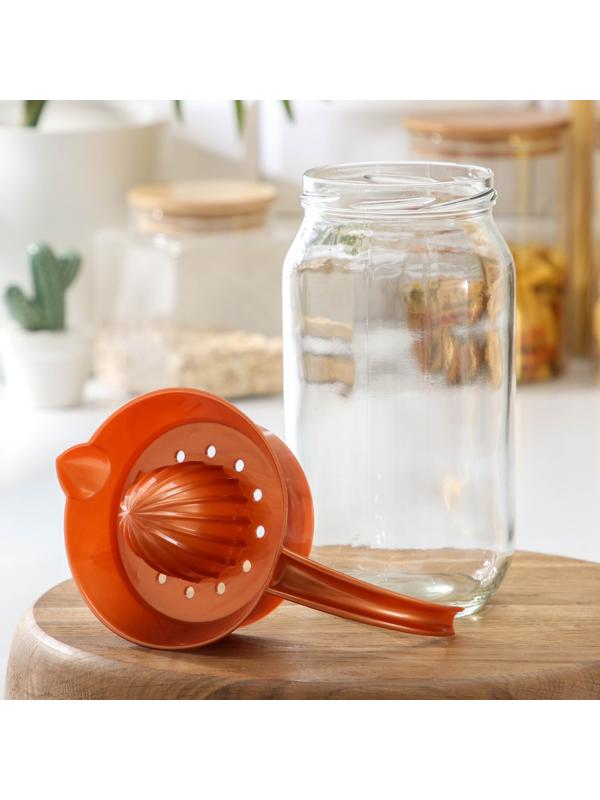 Соковыжималка стеклянная для цитрусовых «Шарм», 1 л, цвет МИКС