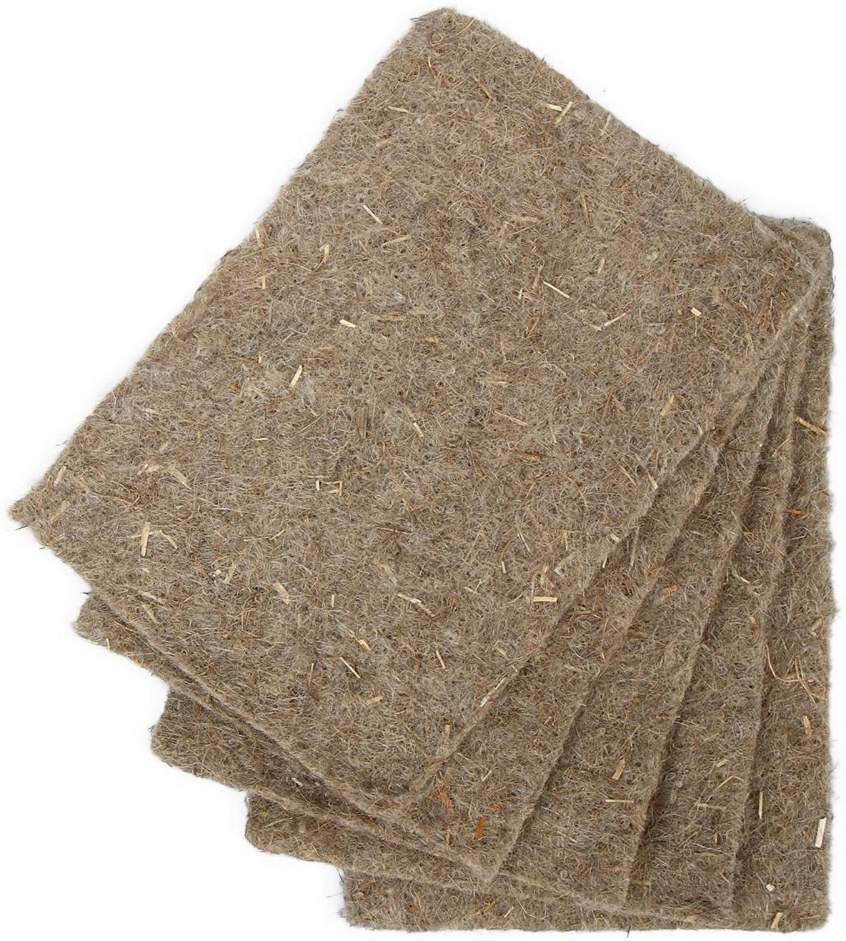 Коврик льняной для выращивания микрозелени, 10 × 15 см, толщина 1 см, набор 5 шт.