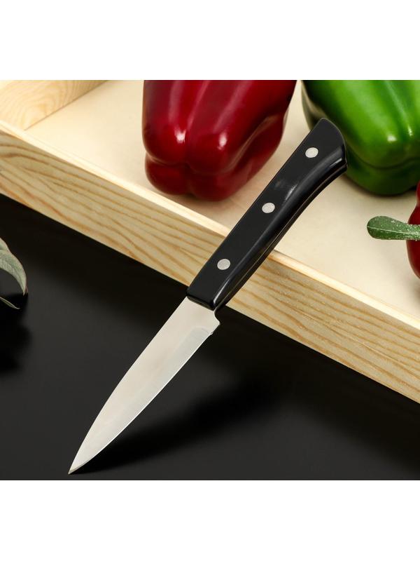 Нож кухонный «Сакура», для овощей, лезвие 9 см