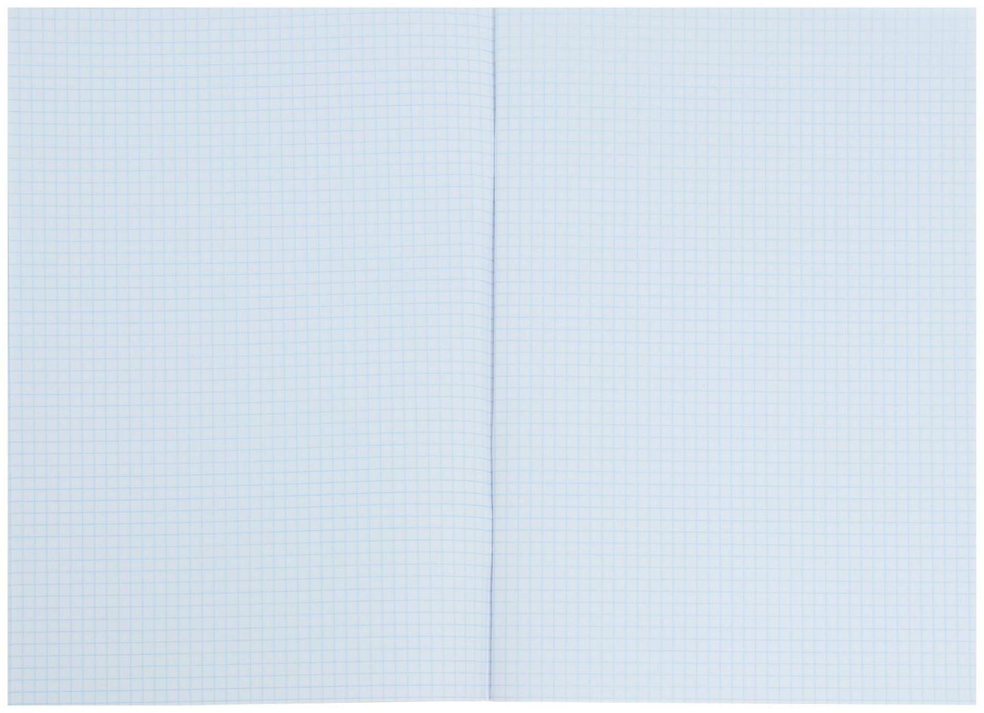 Тетрадь А4, 48 листов в клетку 