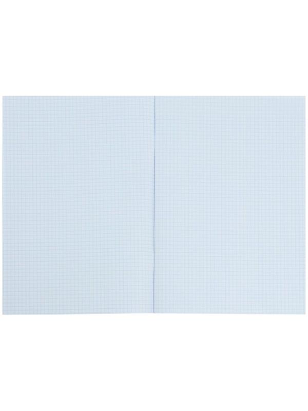 Тетрадь А4, 48 листов в клетку 