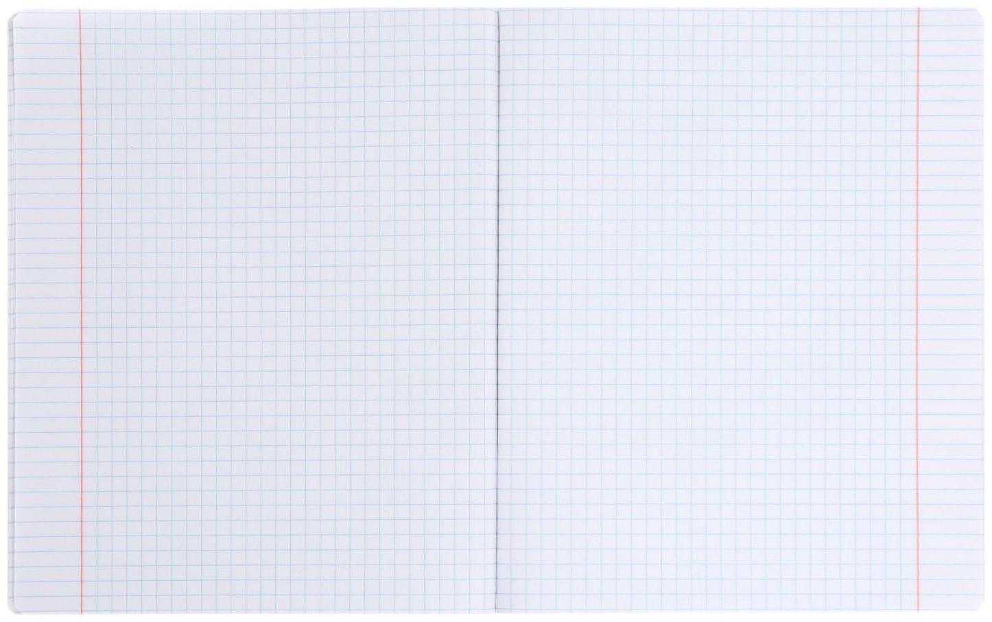 Тетрадь 60 листов в клетку Rachael Hale, обложка мелованный картон, УФ-лак, блок офсет / Микс 1 шт.