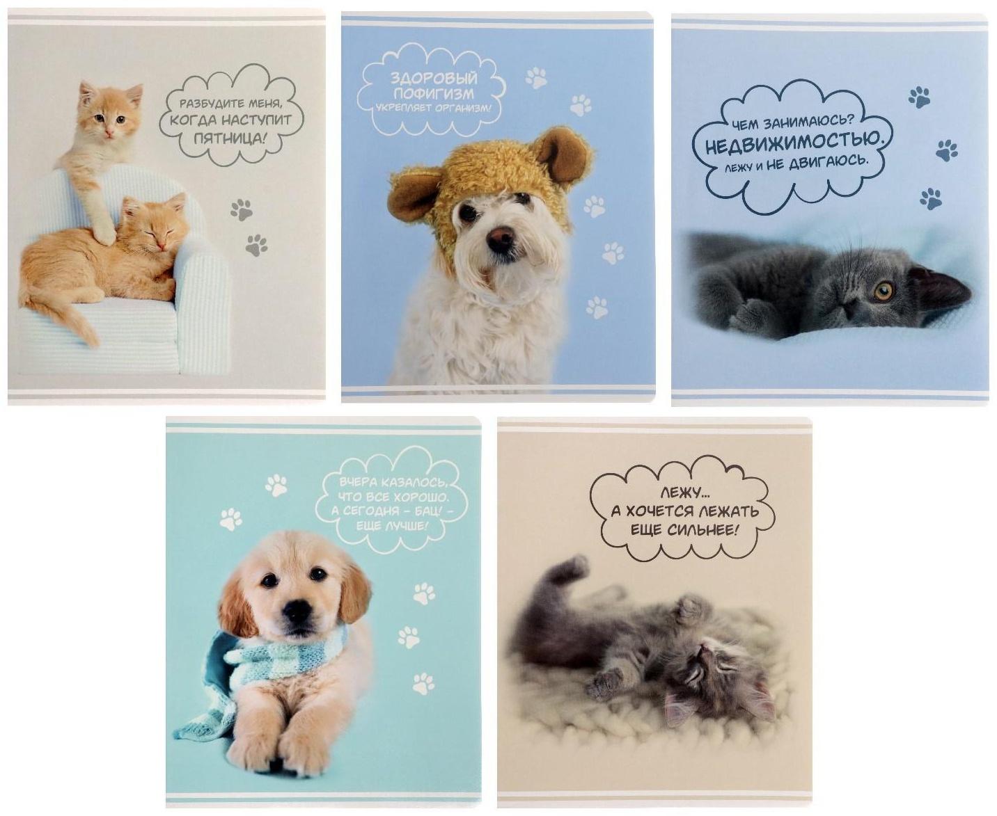 Тетрадь 60 листов в клетку Rachael Hale, обложка мелованный картон, УФ-лак, блок офсет / Микс 1 шт.