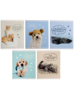 Тетрадь 60 листов в клетку Rachael Hale, обложка мелованный картон, УФ-лак, блок офсет / Микс 1 шт.