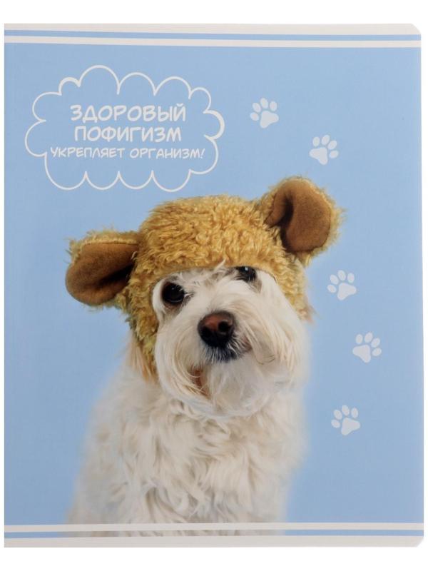 Тетрадь 60 листов в клетку Rachael Hale, обложка мелованный картон, УФ-лак, блок офсет / Микс 1 шт.