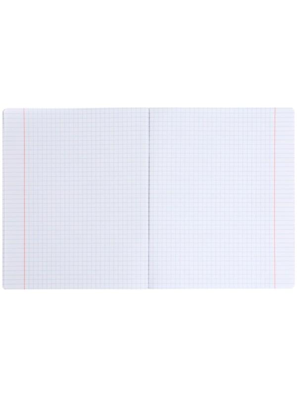 Тетрадь 60 листов в клетку Rachael Hale, обложка мелованный картон, УФ-лак, блок офсет / Микс 1 шт.