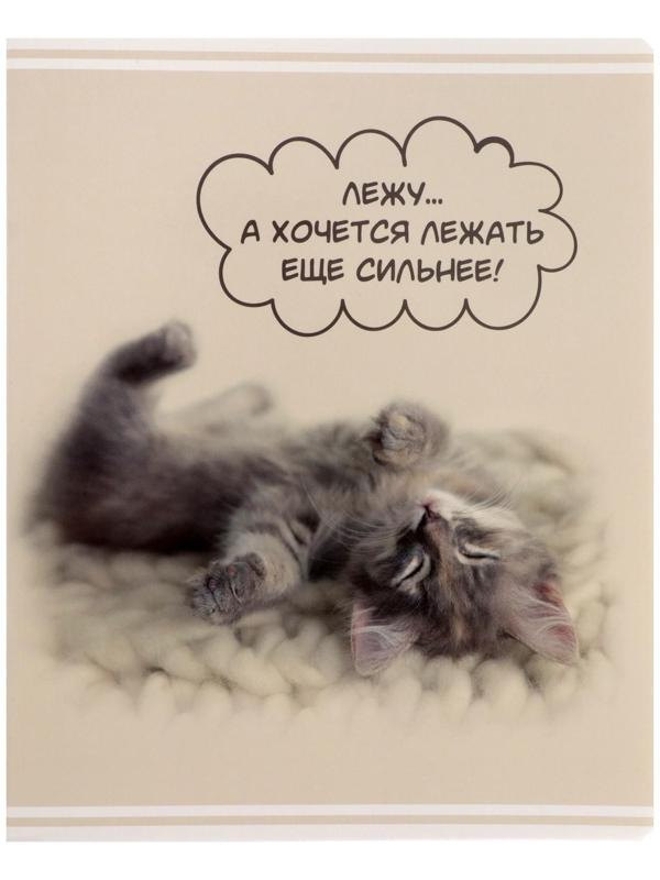 Тетрадь 60 листов в клетку Rachael Hale, обложка мелованный картон, УФ-лак, блок офсет / Микс 1 шт.