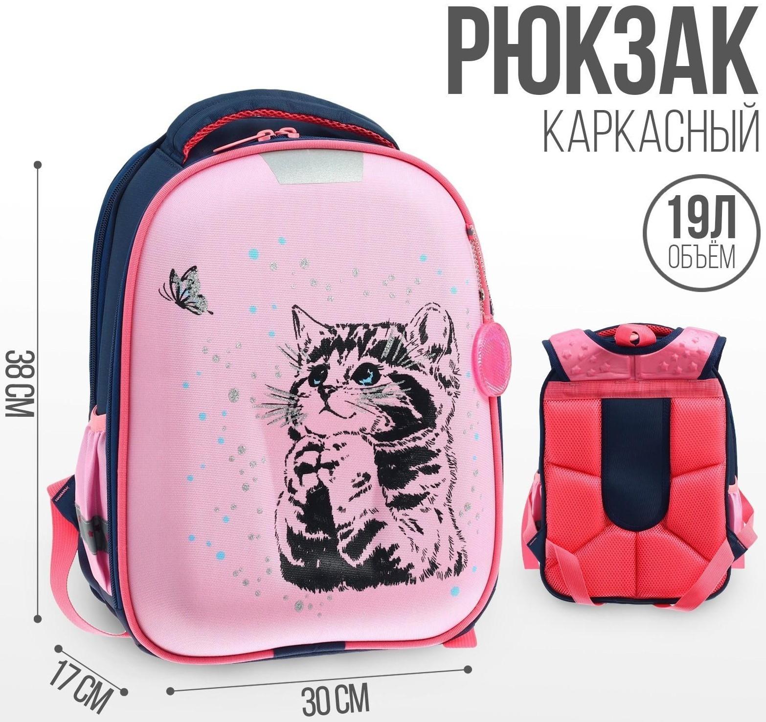 Рюкзак каркасный 38 х 30 х 17 см, эргономичная спинка, Calligrata Probag 