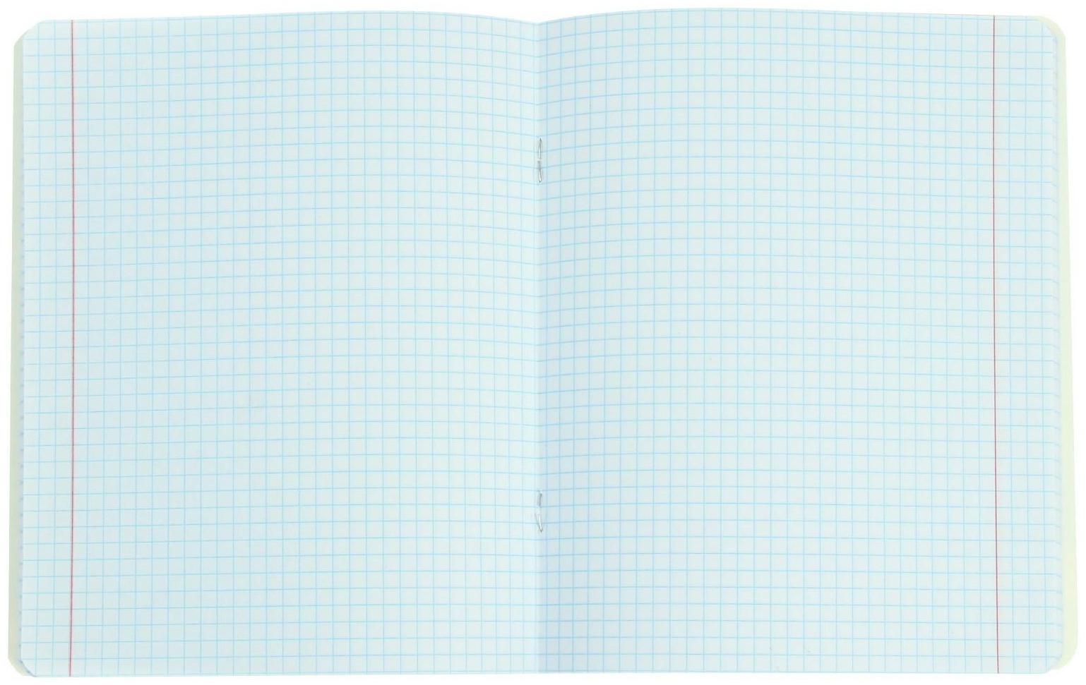 Тетрадь 48 листов в клетку 