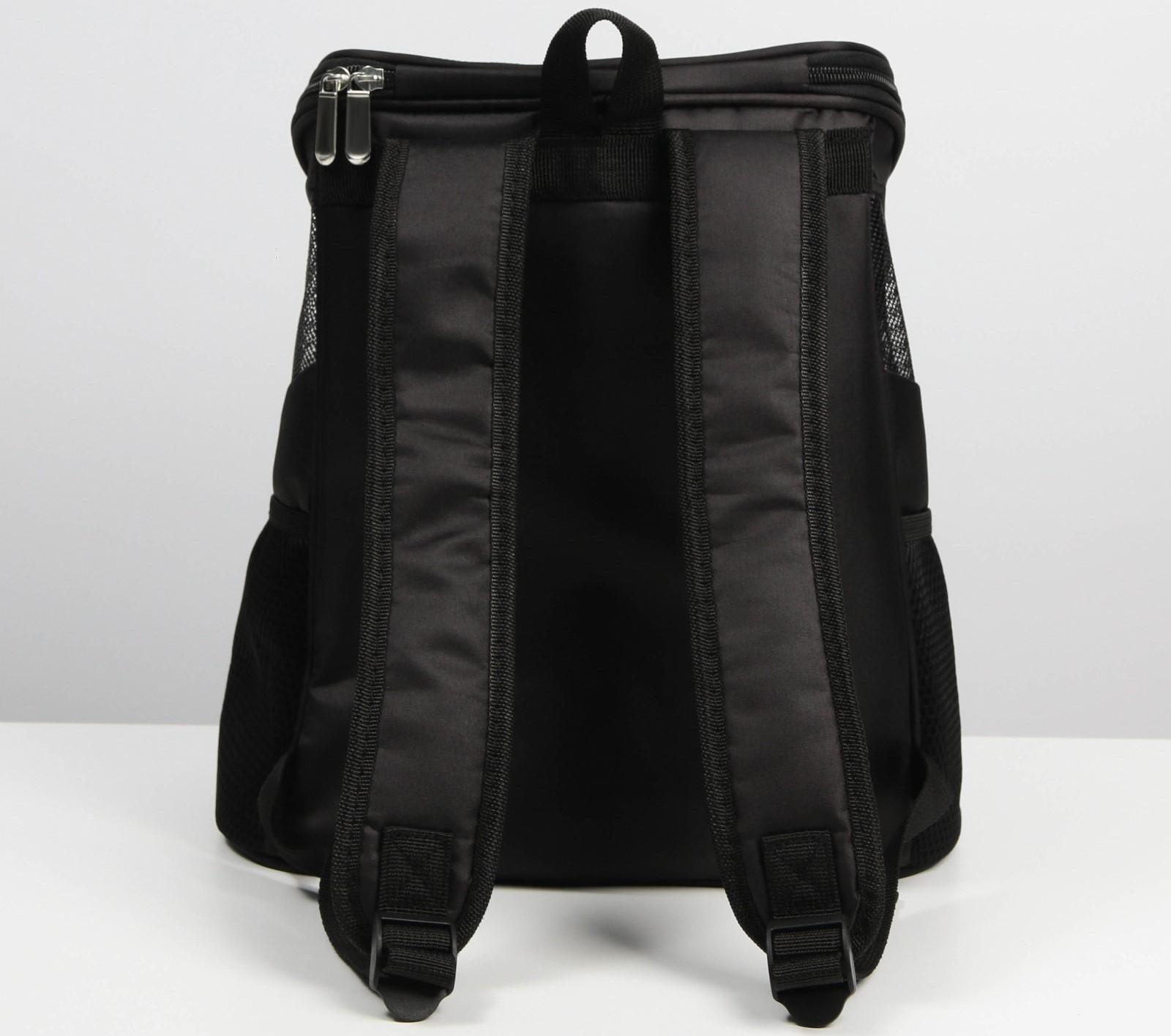 Рюкзак для переноски животных «Я слежу за тобой» 31х23х30 см