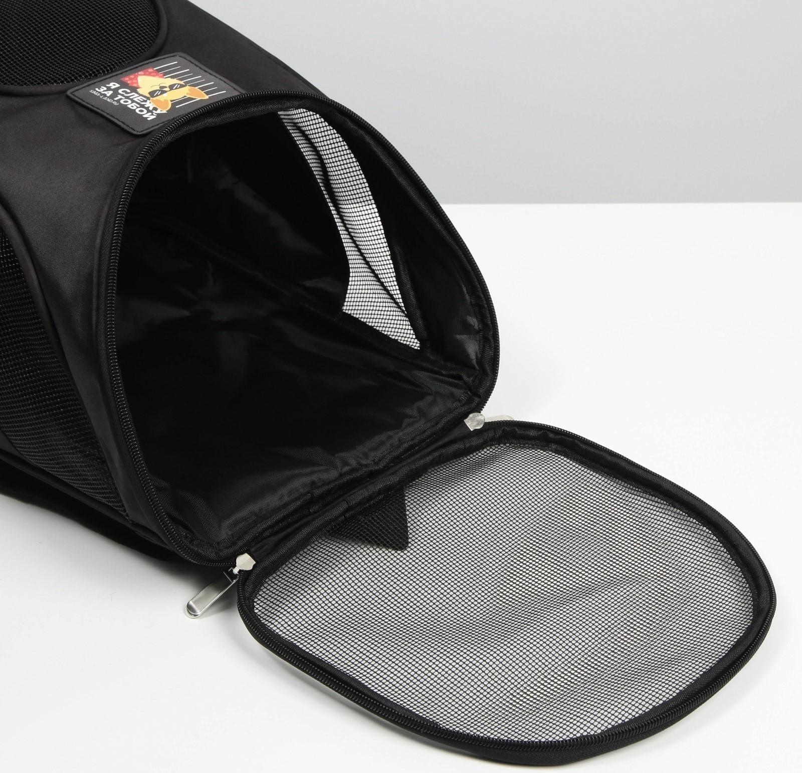 Рюкзак для переноски животных «Я слежу за тобой» 31х23х30 см