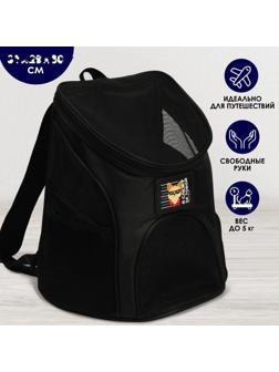 Рюкзак для переноски животных «Я слежу за тобой» 31х23х30 см