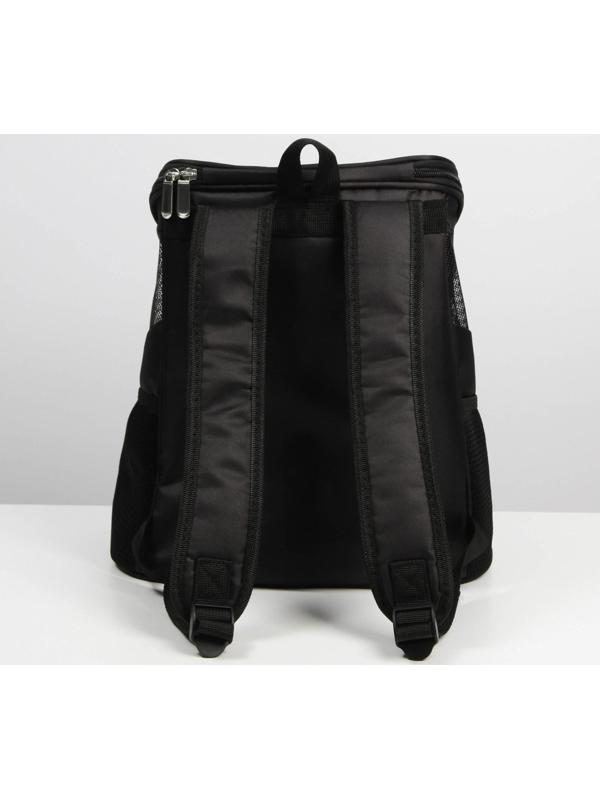 Рюкзак для переноски животных «Я слежу за тобой» 31х23х30 см