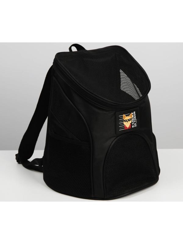 Рюкзак для переноски животных «Я слежу за тобой» 31х23х30 см