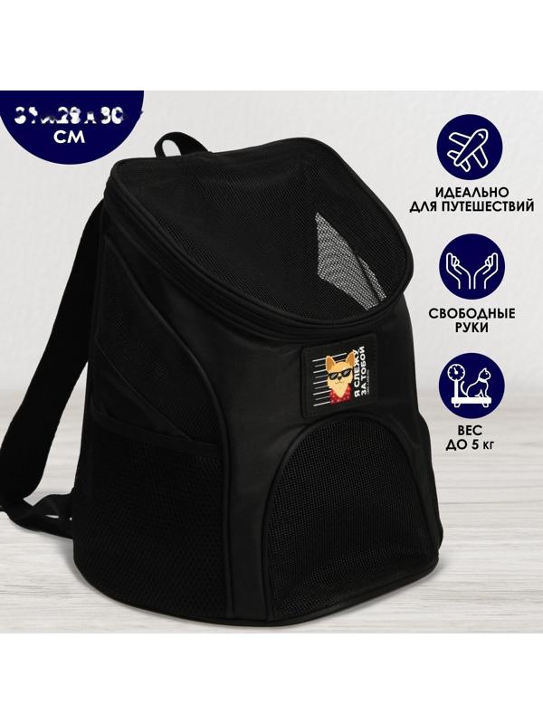 Рюкзак для переноски животных «Я слежу за тобой» 31х23х30 см