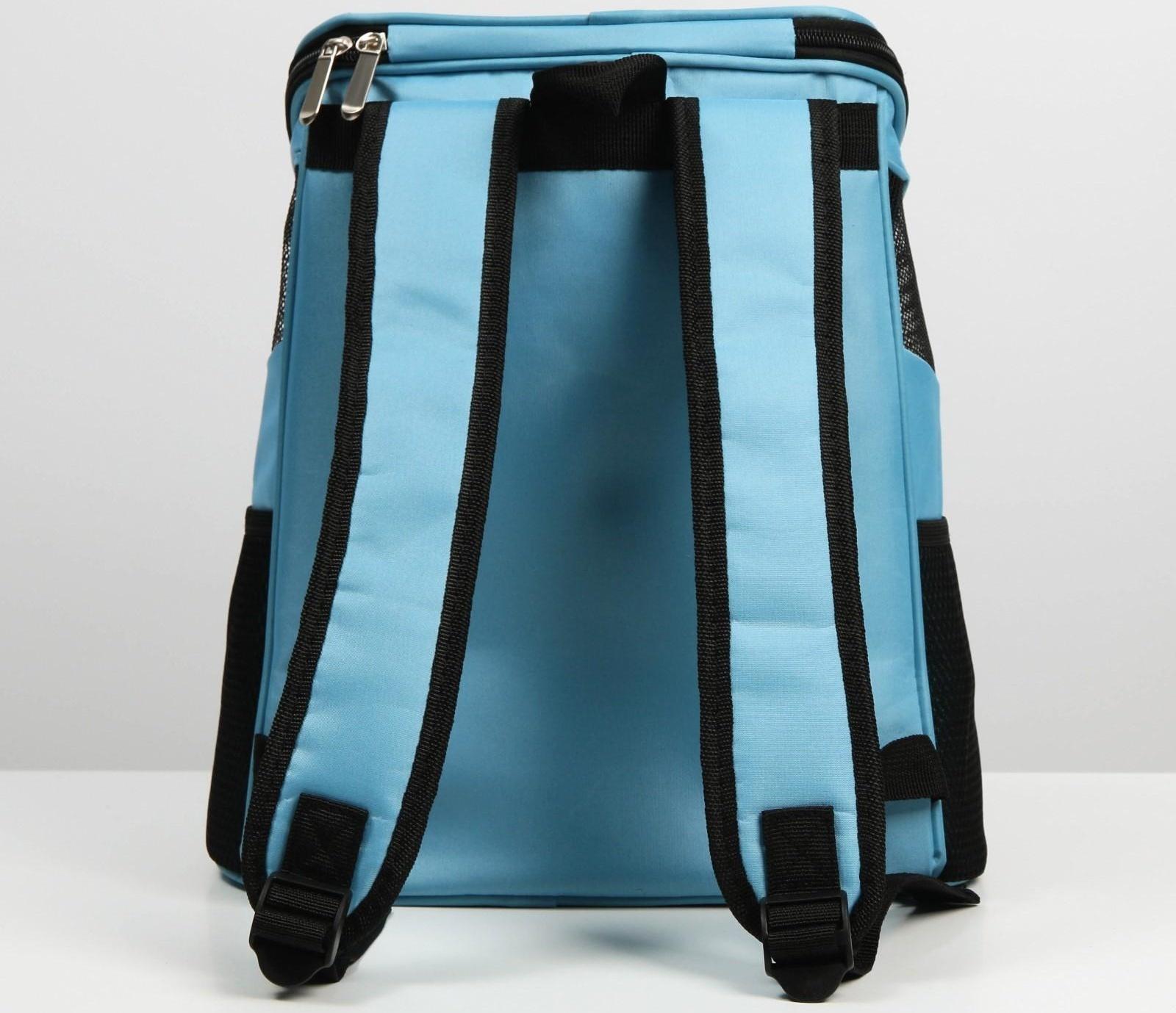 Рюкзак для переноски животных «Хороший мальчик» 31х23х30 см