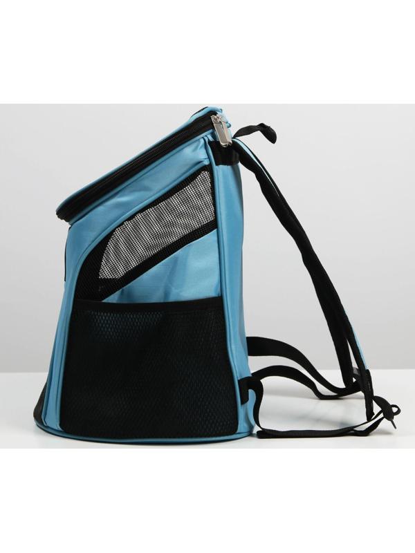 Рюкзак для переноски животных «Хороший мальчик» 31х23х30 см