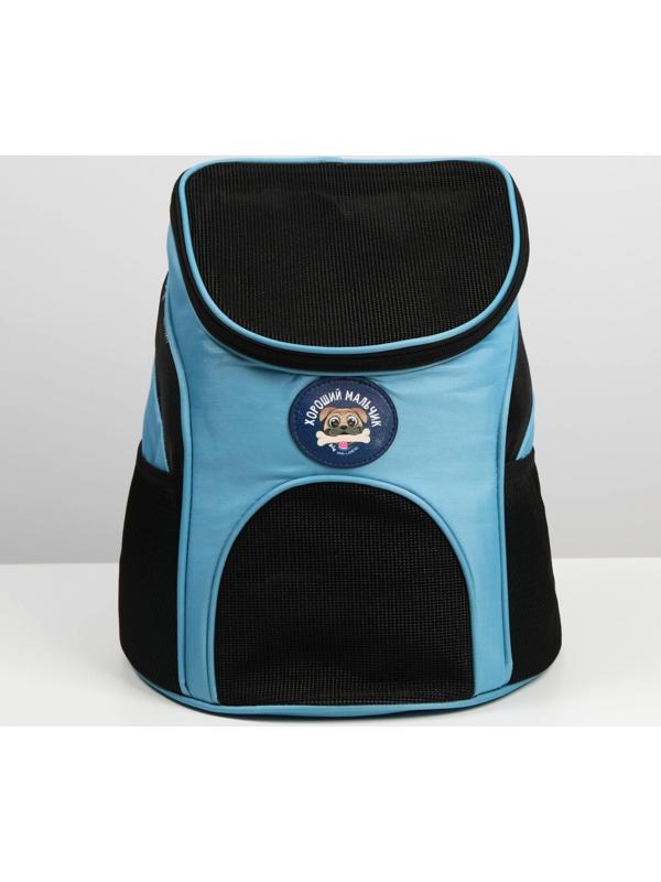 Рюкзак для переноски животных «Хороший мальчик» 31х23х30 см