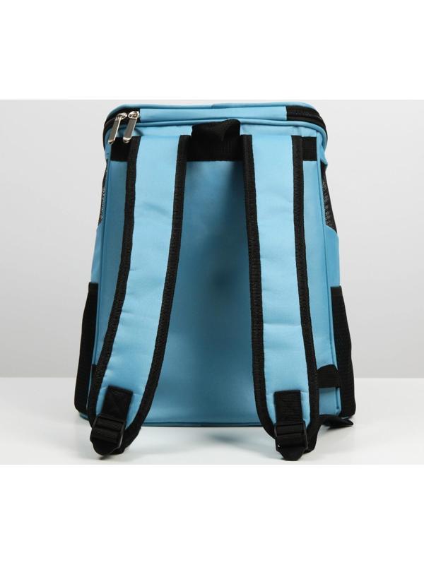 Рюкзак для переноски животных «Хороший мальчик» 31х23х30 см