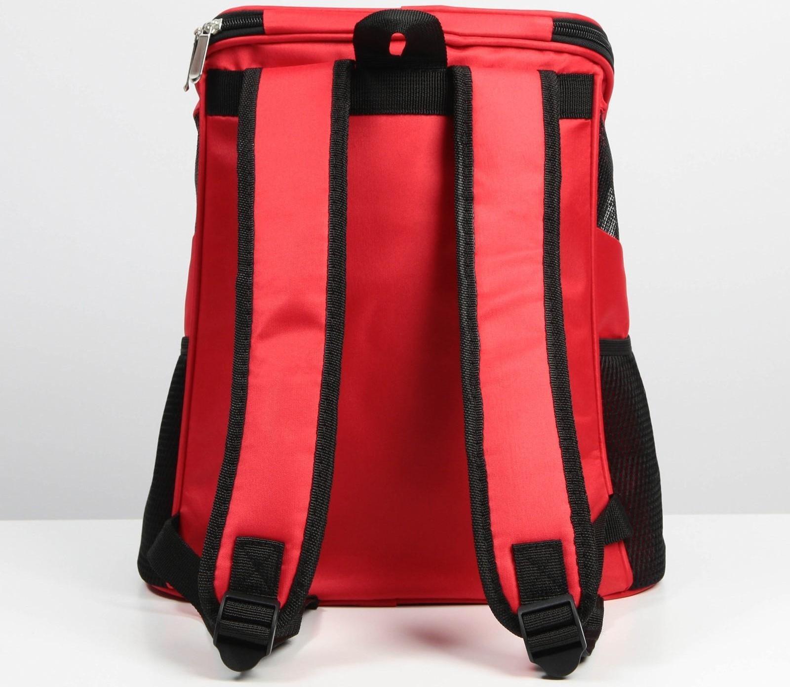 Рюкзак для переноски животных «Осторожно, милота зашкаливает» 31х23х30 см