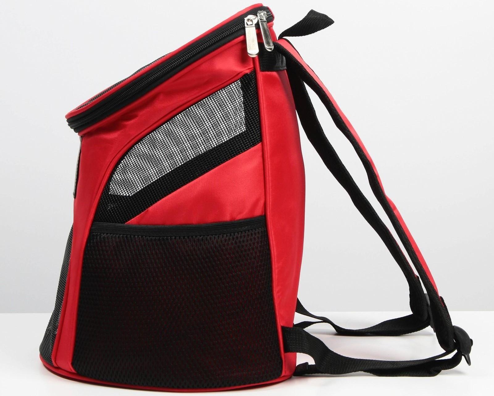 Рюкзак для переноски животных «Осторожно, милота зашкаливает» 31х23х30 см