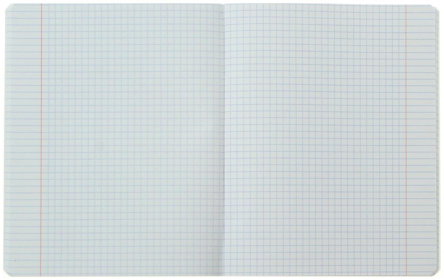 Тетрадь 48 листов клетка 