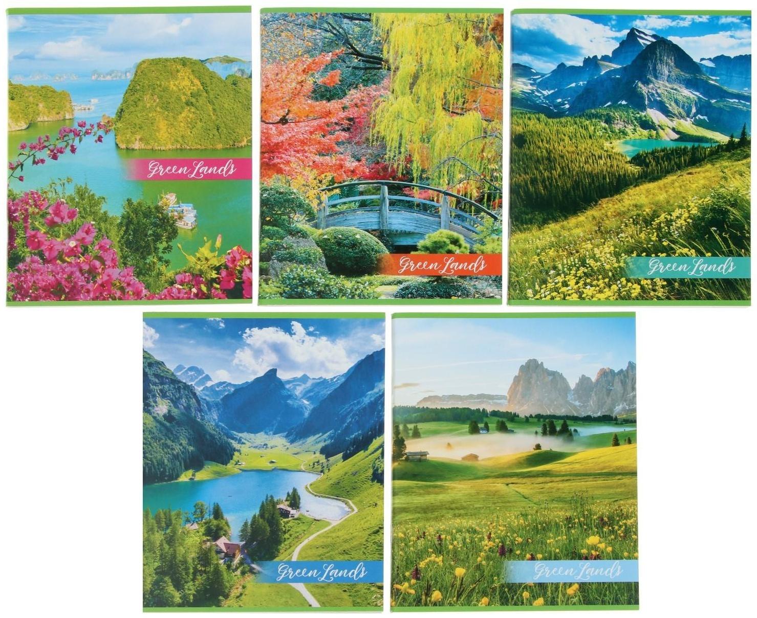 Тетрадь 48 листов в клетку GreenLand, бумажная обложка, блок типа № 2 (серые листы) / Микс 8 шт.