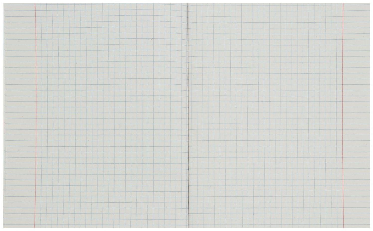 Тетрадь 48 листов в клетку GreenLand, бумажная обложка, блок типа № 2 (серые листы) / Микс 8 шт.