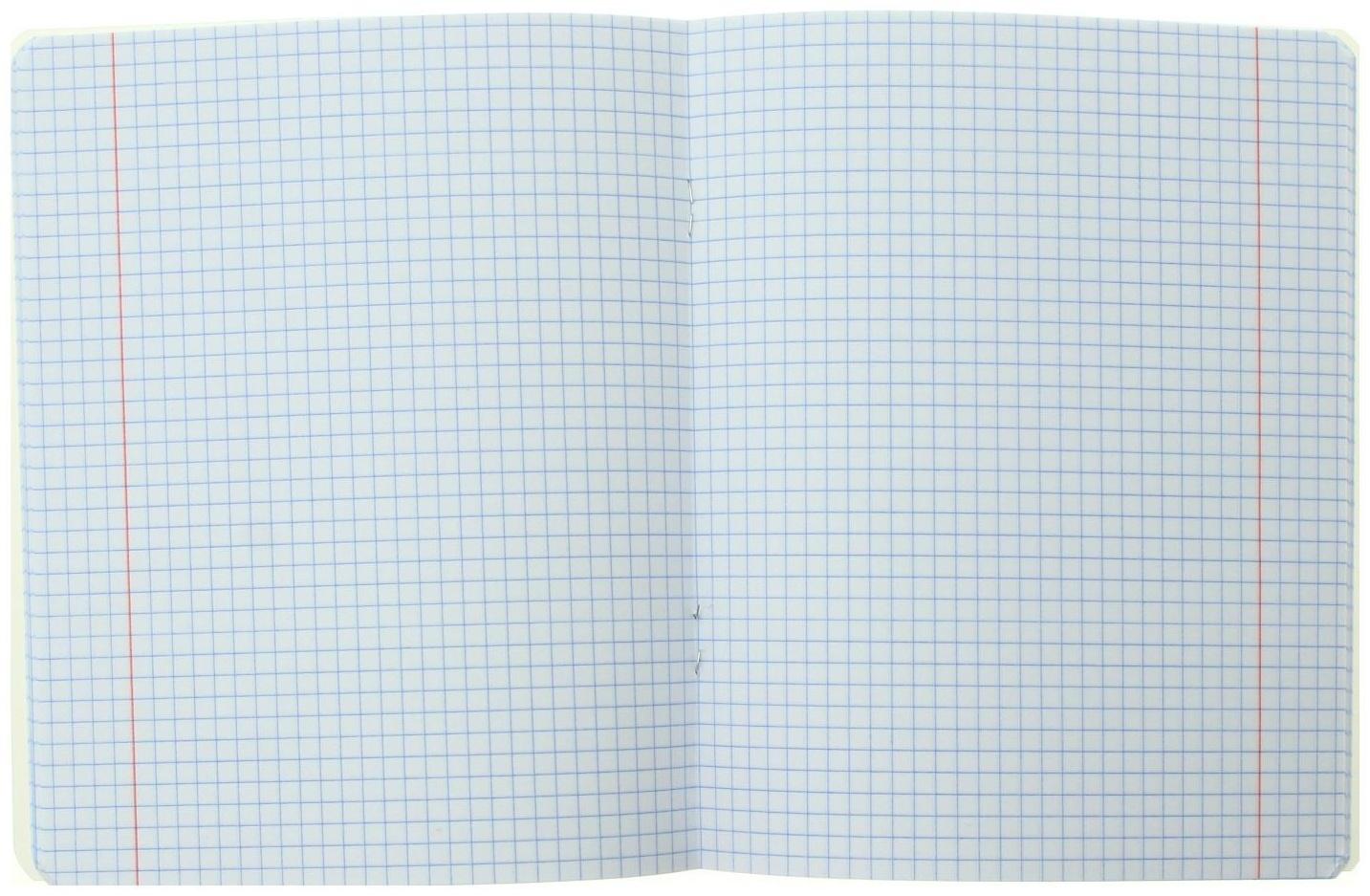 Тетрадь 48 листов в клетку 