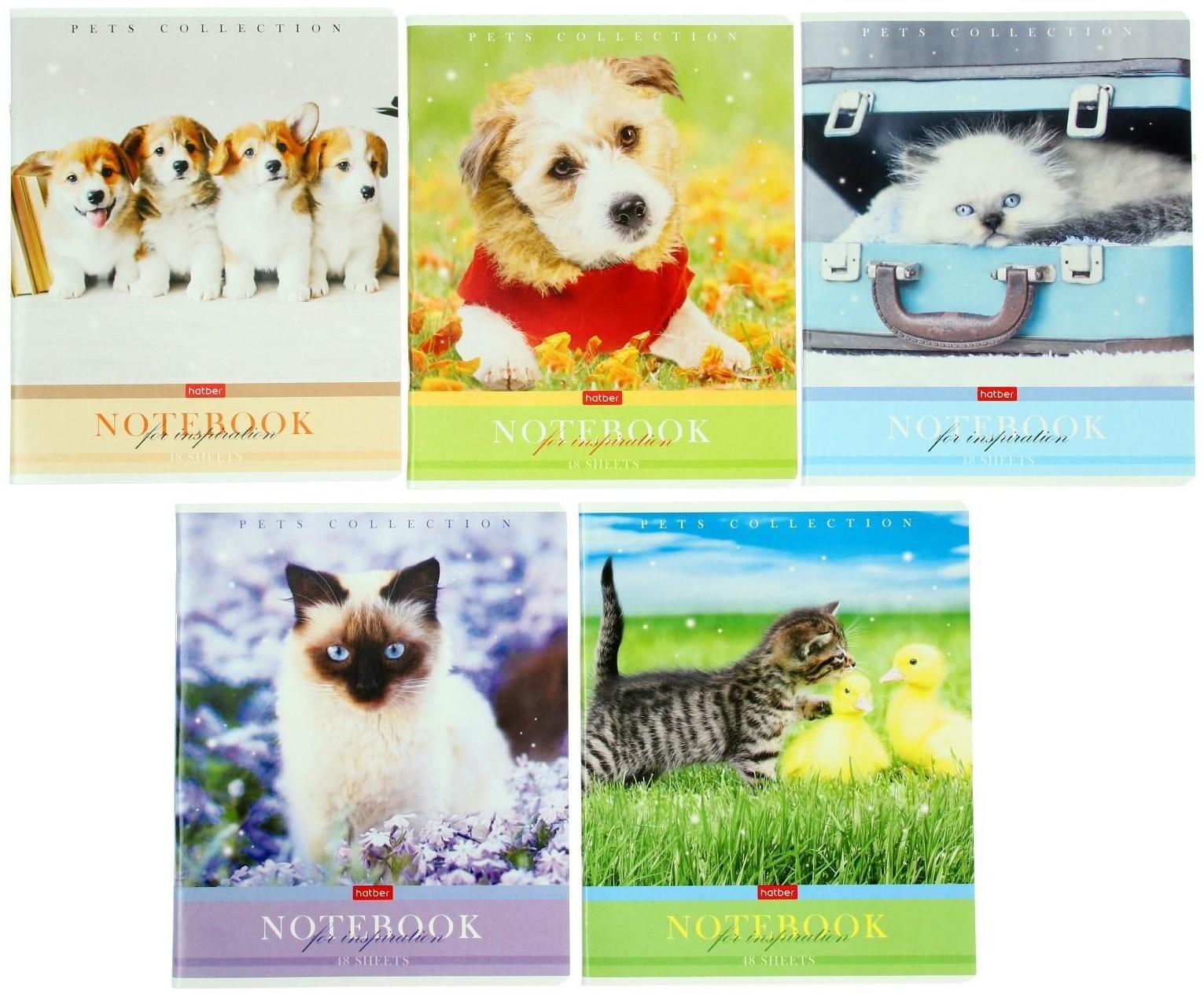 Тетрадь 48 листов в клетку 