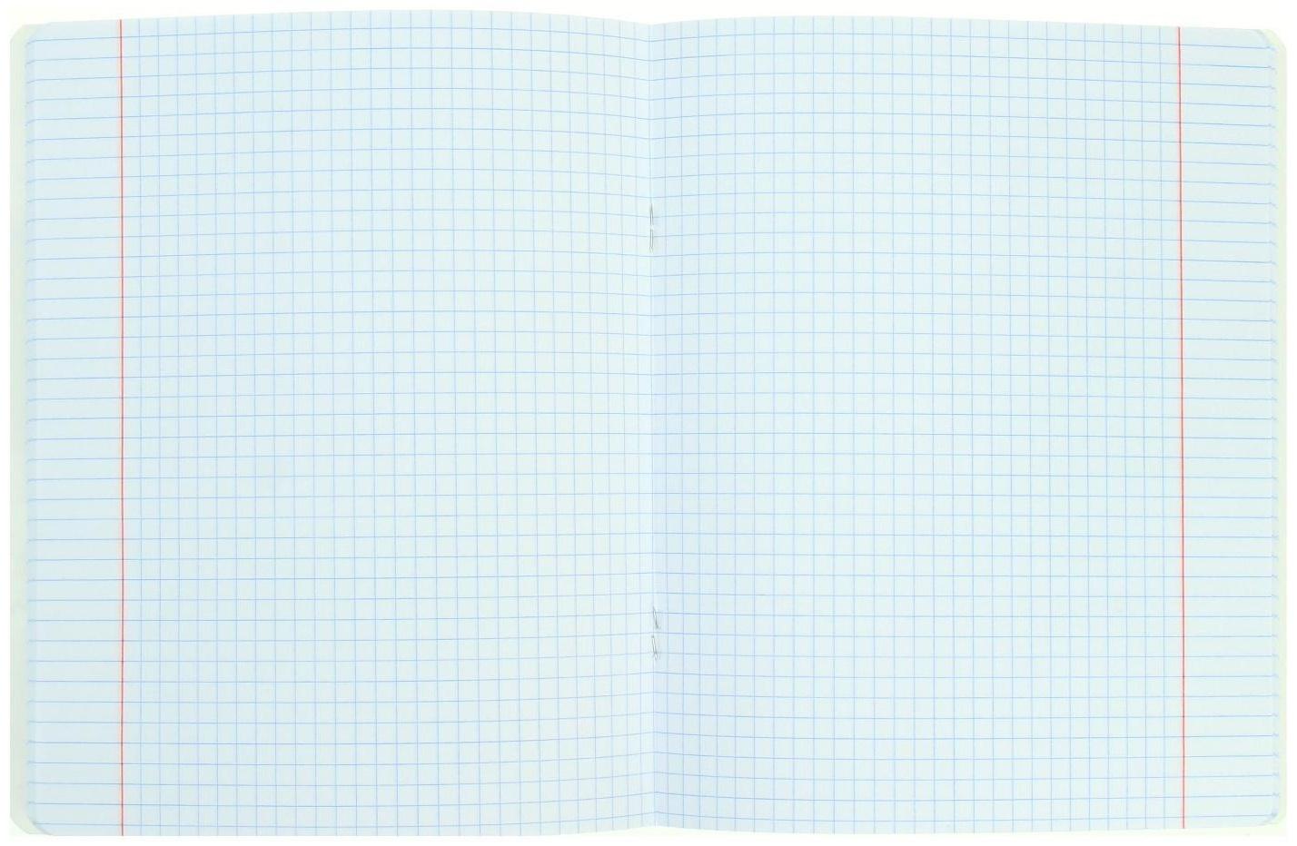 Тетрадь 48 листов в клетку 