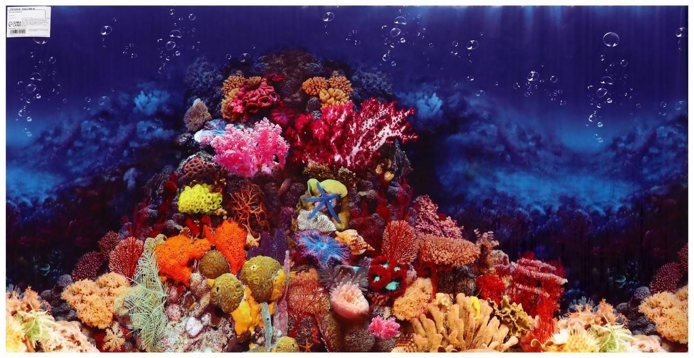 Фон для аквариума, 50 см, рулон 25 м