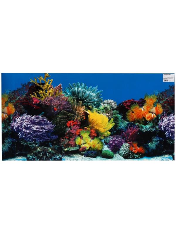 Фон для аквариума, 50 см, рулон 25 м